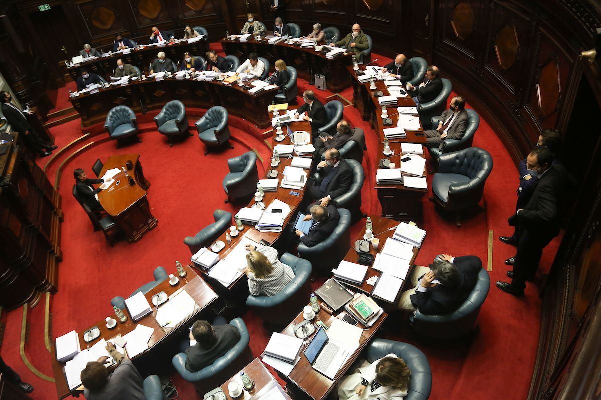 Senado aprobó proyecto de horas libres a embarazadas