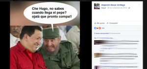 alejandro Bauer Arrillaga