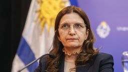 altText(Uruguay tiene siete casos sospechosos de encefalitis equina)}