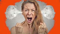 altText(Algunas curiosidades sobre la ira)}