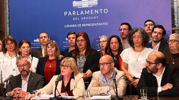 Lustemberg respaldó a Danza.