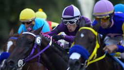 altText(Todo listo para el Gran Premio Ramírez)}