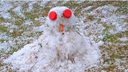 altText(¿En serio puede nevar en Uruguay? Metusl dice que sí)}