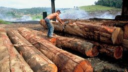 altText(Movilización de los trabajadores de la madera en Tacuarembó)}