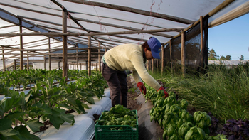 El MGAP apoyará a 1.500 productores granjeros para que mejoren sus sistemas de riego