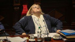 altText(Bianchi le erró feo y se hizo eco de un tuit falso contra el canciller Lubetkin)}