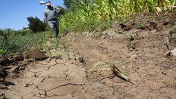 altText(BPS prorrogó vencimiento del pago de los aportes patronales y personales rurales)}