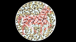 altText(Test de personalidad: ¿qué animal ves en la imagen?)}