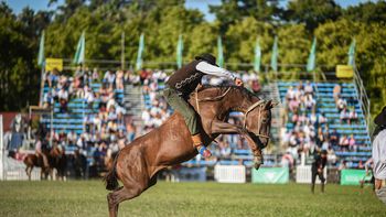 Condenaron al joven que vendía entradas falsas para la Expo Rural del Prado.