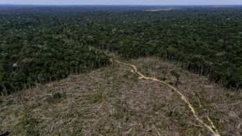 La deforestación de la Amazonia crece