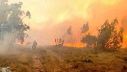 altText(El número de incendios continúa aumentando)}