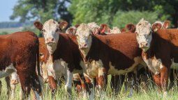 altText(Compra de Minerva Foods generó alerta en sector frigorífico)}