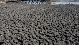 altText(¿Se viene otra sequía? OSE anuncia recomendaciones sobre uso de agua a la población)}