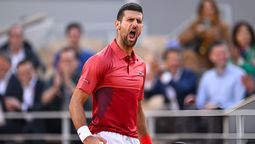 altText(Como el Ave Fénix: Djokovic se levantó y logró una nueva remontada épica)}