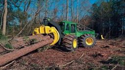 altText(Aumenta interés inversor en industria forestal de Uruguay)}