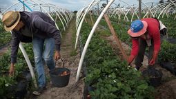 altText(El abaratamiento de recursos naturales tiene un alto costo)}