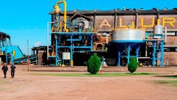 altText(El gobierno dispuso el cierre de la planta de Alur en Belén)}