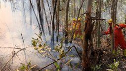 altText(Incendio en las sierras de Minas afecta más de 280 hectáreas)}