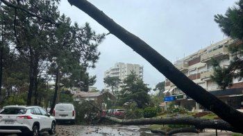 Ciclón extratropical afectará a seis departamentos con lluvia y vientos fuertes