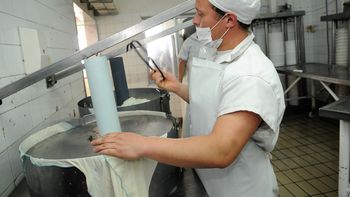 Trabajadores de industria láctea en conflicto&nbsp;&nbsp;