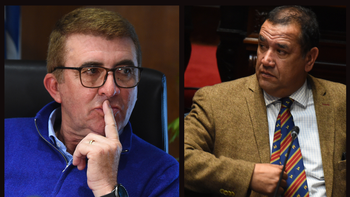 A los gritos terminaron el senador Da Silva y el expresidente de Colonización en el Parlamento.