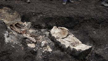 Triángulo del horror: la nueva osamenta es la cuarta exhumada en un área reducida desde 2011