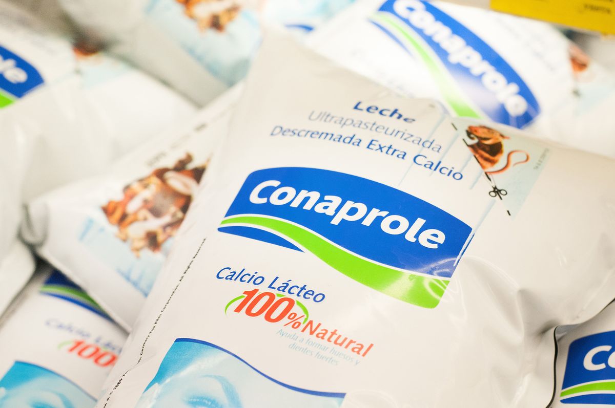 El Sindicato de Conaprole decidió parar este viernes por 24 horas ante despido “abusivo” de una trabajadora con 15 años en la empresa. Según los trabajadores no habrá faltante de leche.