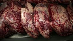 altText(Carnicerías negocian para bajar precios de algunos cortes)}