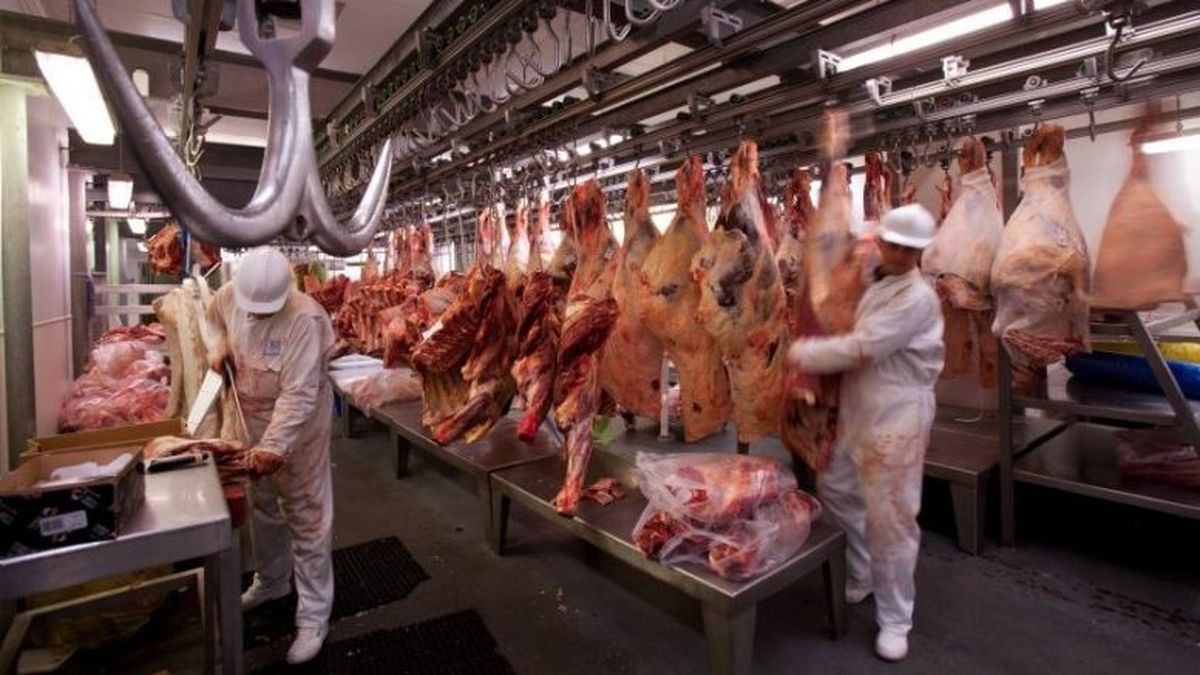Habrá paro de 24 horas en la industria de la carne.