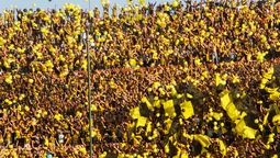 altText(Peñarol se prepara para ir a Las Piedras )}