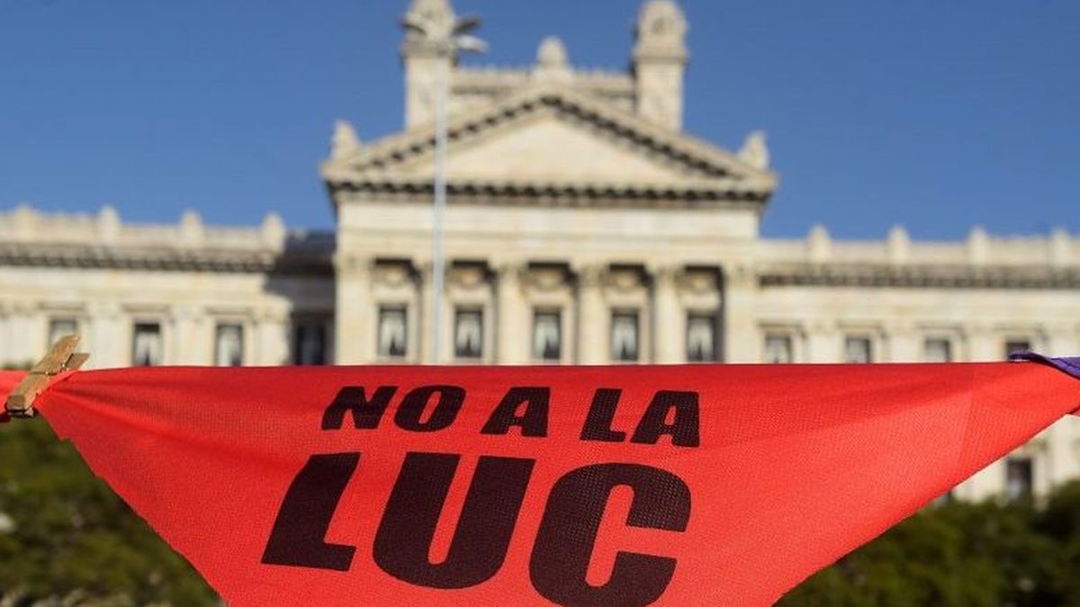 Pit-Cnt impulsará un referéndum contra la LUC