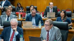 altText(Comisión del Senado aprobó el acuerdo entre el Mercosur y la Unión Europea)}