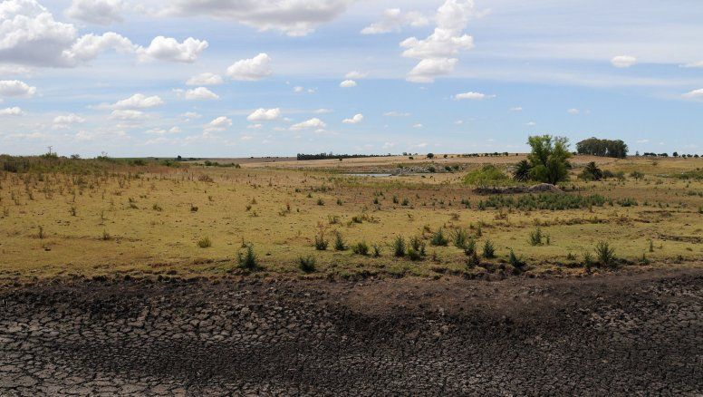Las medidas del gobierno para mitigar el impacto del déficit hídrico en el campo