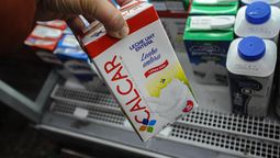 altText(Reapertura de Calcar: 50 operarios ya trabajan en la planta de Tarariras)}