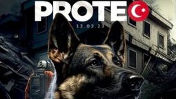 altText(Turquía honrará con una estatua a Proteo, el perro héroe)}