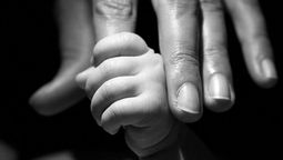altText(¿Se podrían unificar los proyectos de maternidad y trabajo?)}