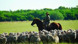 altText(Gobierno otorgó 66,8 millones de dólares a productores familiares en diez años)}