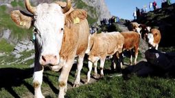 altText(Argentina suspende exportaciones de carne vacuna y Uruguay festeja)}