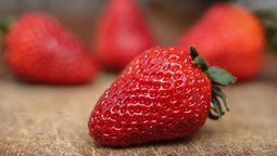 altText(Temporada de frutillas en Uruguay)}