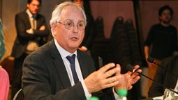 altText(Saldain dijo que la sustentabilidad de la reforma 
