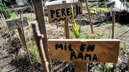 altText(La institucionalidad de la agroecología convertida en botín)}