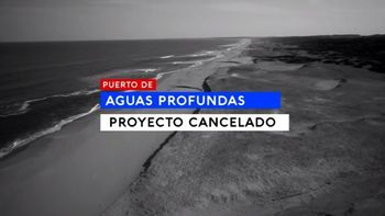 El cangrejo debajo del spot