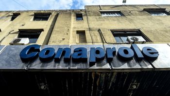 Evalúan cierre de planta de Conaprole en Rivera.