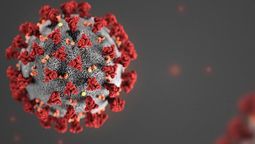 altText(«Unión, caros compatriotas, y estad seguros de la victoria”)}