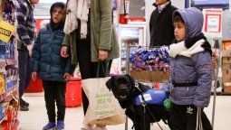 altText(Autismo y perros de asistencia: ¿por qué estas mascotas son tan importantes?)}