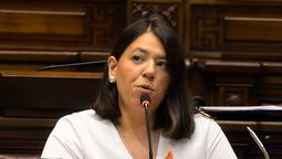 altText(Diputada Bettiana Diaz será quien interpele a Martinelli)}