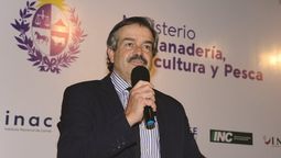 altText(Saqueo multicolor)}