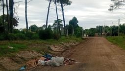 altText(Canelones desplegará estrategia para erradicar los basurales)}