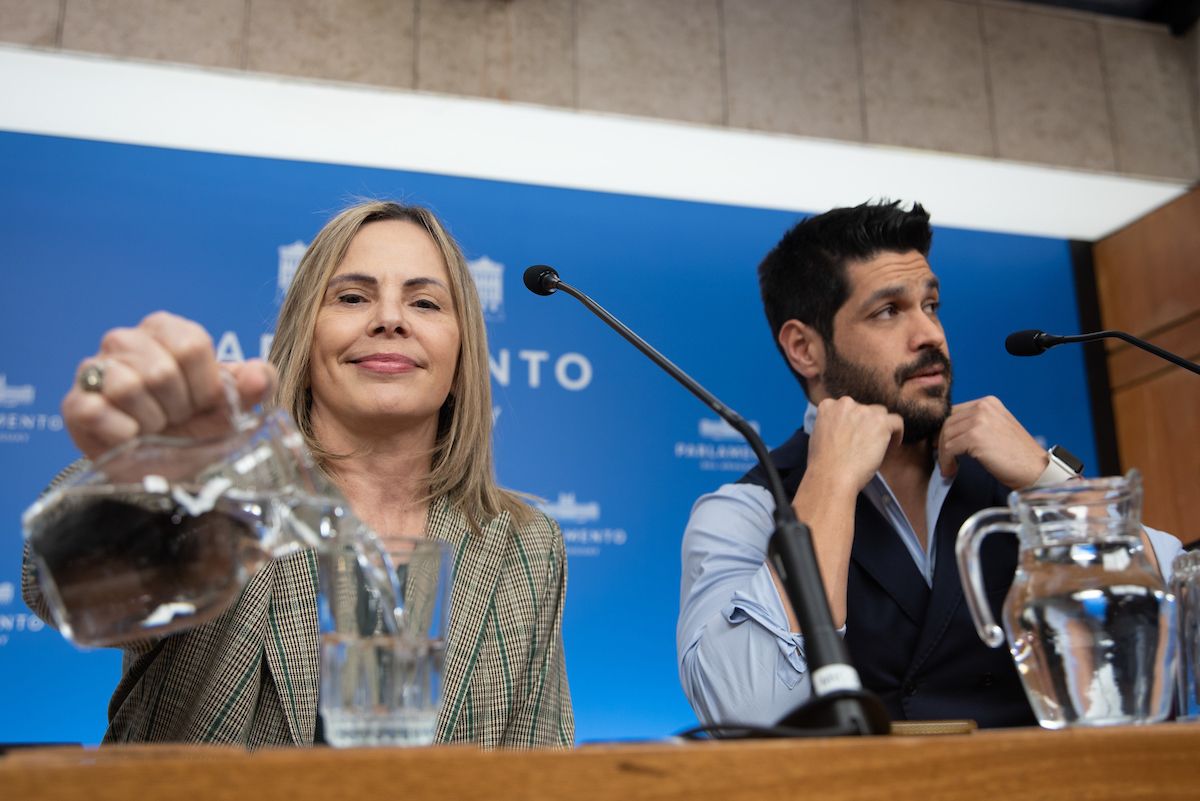 Ojeda y Fossati en el Parlamento