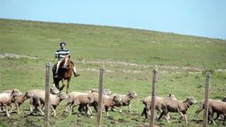 altText(La ofensiva comunicacional del “campo”)}